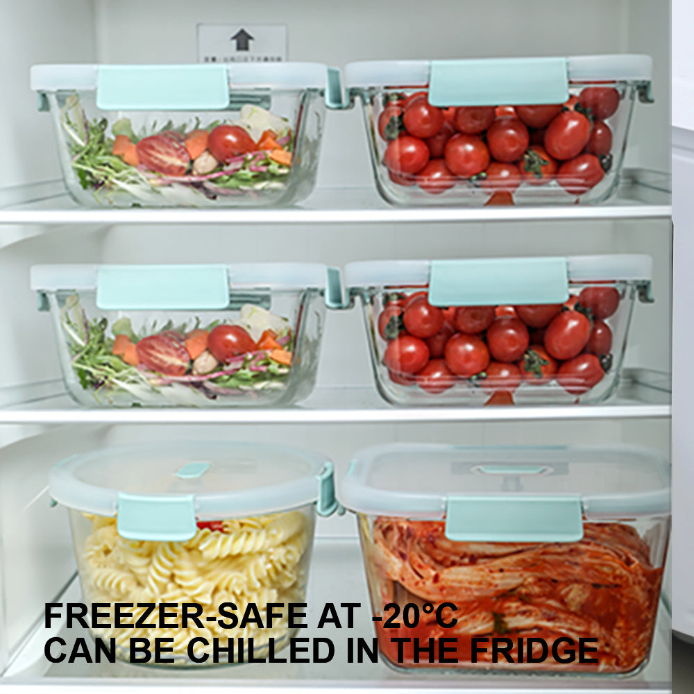 Citylife Antibacterial Glass Food Container Bundle Air-tight Glass Lunch Box Microwaveable BPA Free Bento Box