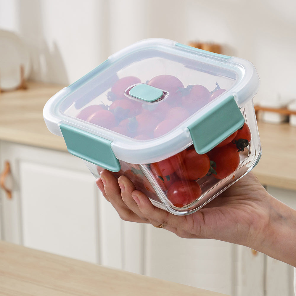 Citylife Antibacterial Glass Food Container Bundle Air-tight Glass Lunch Box Microwaveable BPA Free Bento Box