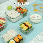 (Bundle of 2) Citylife Air-tight Glass Lunch Box Oven Microwave Glass Food Container Bento Box With Divider H-849091