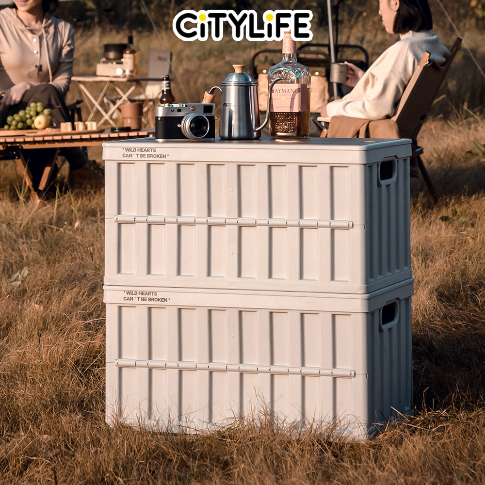 Citylife 64L Collapsible Storage Box Crate with Lid Folding Storage Box with Wooden Cover Panel for Home Outdoor X-6274