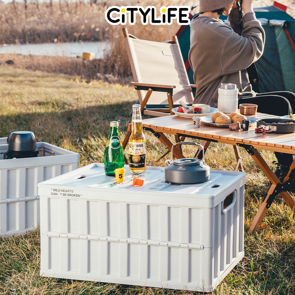 Citylife 64L Collapsible Storage Box Crate with Lid Folding Storage Box with Cover Panel for Home Outdoor X-6275