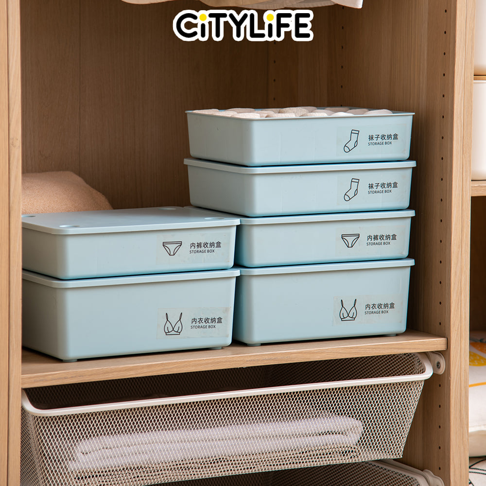 Citylife 10 Grids Underwear Storage Box Bra panties Socks Storage Box Cloth Storage Box H-9190