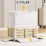 (BUNDLE OF 2) Citylife 30L-125L Folding Storage Box Cabinet Wardrobe Transparent Foldable Home Clothes Snacks Storage Cabinet X-6100-04